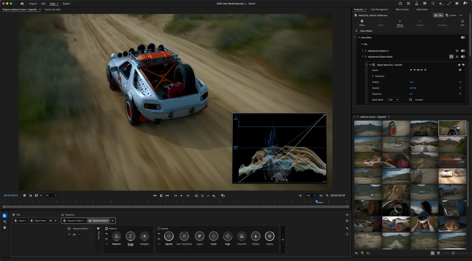 Adobe Premiere Color Mode 色彩模式