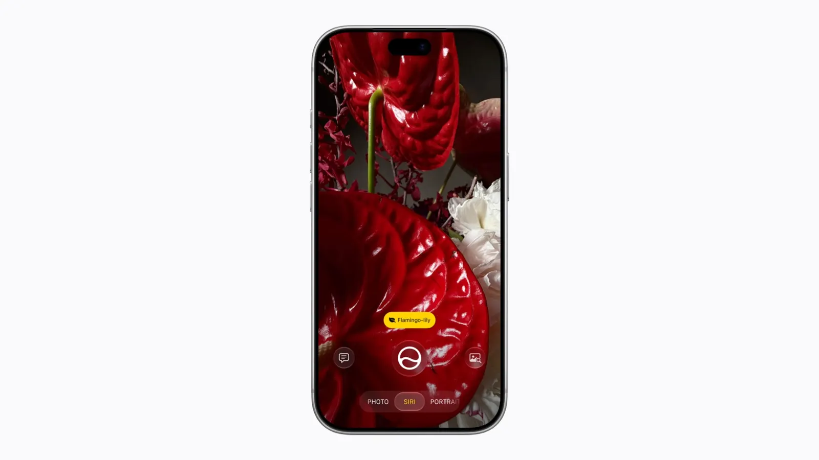 iPhone 18 Pro 相機中的 Siri 模式